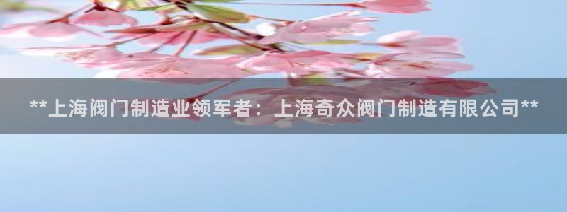 彩神v8首页：**上海阀门制造业领军者：上海奇众阀门制造有限
