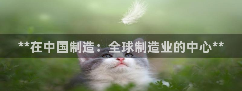 彩神ix是真的吗：**在中国制造：全球制造业的中心**