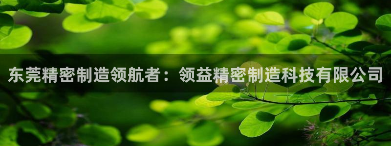 彩神争霸官网登录平台：东莞精密制造领航者：领益精密制造科技有