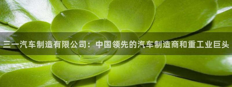 彩神可以提现吗：三一汽车制造有限公司：中国领先的汽车制造商和重工业巨头