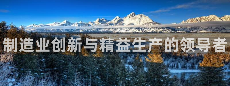 彩神ix平台：制造业创新与精益生产的领导者