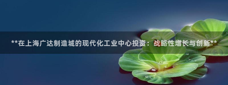 大发彩神争：**在上海广达制造城的现代化工业中心投资：战略性增长与创新**