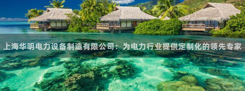 彩神平台：上海华明电力设备制造有限公司：为电力行业提供定制化