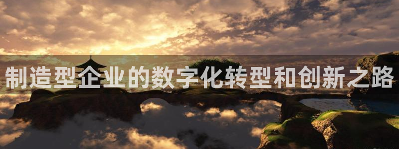 彩神 好 平台：制造型企业的数字化转型和创新之路