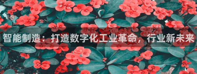 彩神V集团公司：智能制造：打造数字化工业革命，行业新未来