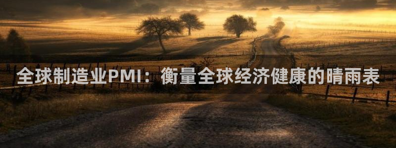 彩神ix可靠吗：全球制造业PMI：衡量全球经济健康的晴雨表