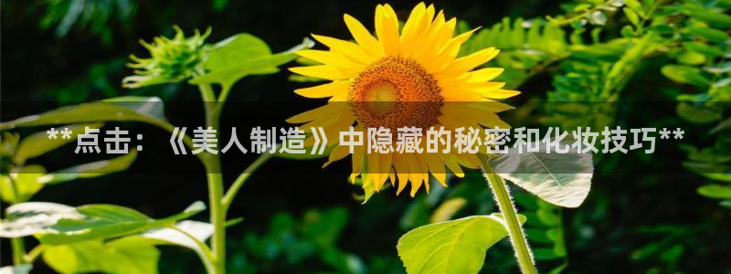 彩神xapp官方网站：**点击：《美人制造》中隐藏的秘密和化