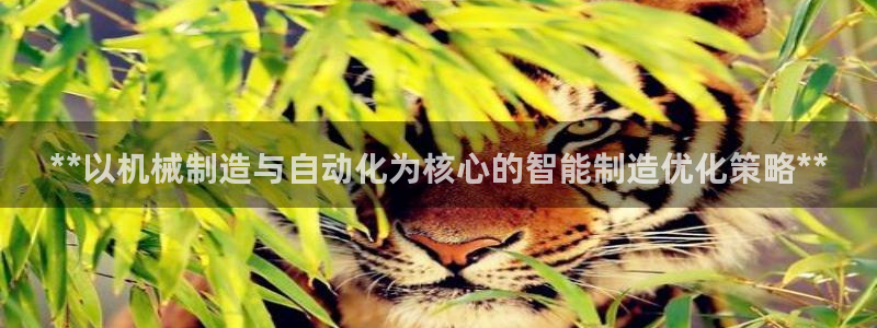 彩神购彩-购彩大厅入口500：**以机械制造与自动化为核心的智能制造优化策略**