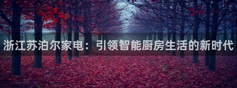 彩神ix官网是哪个公司的：浙江苏泊尔家电：引领智能厨房生活的新时代