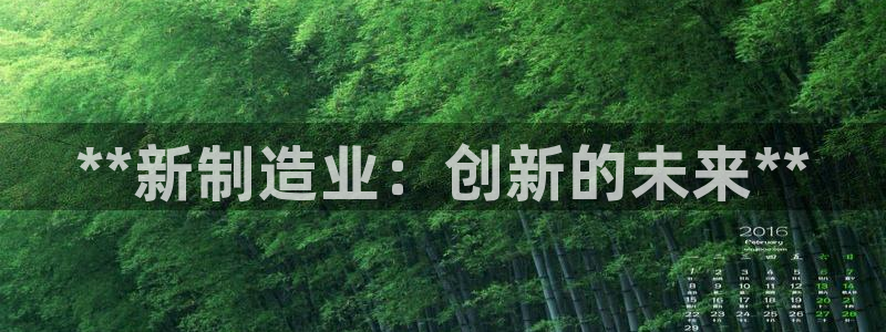 彩神vll趣投彩：**新制造业：创新的未来**