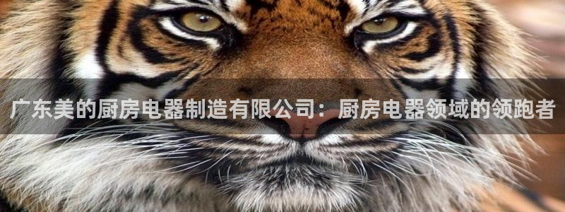彩神争霸官方登录：广东美的厨房电器制造有限公司：厨房电器领域的领跑者