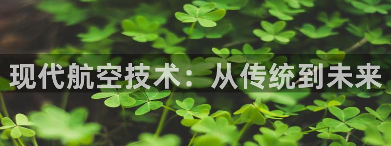 彩神购彩-购彩大厅入口老版：现代航空技术：从传统到未来