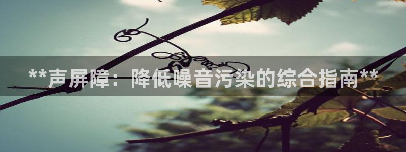 彩神ll能赚钱吗