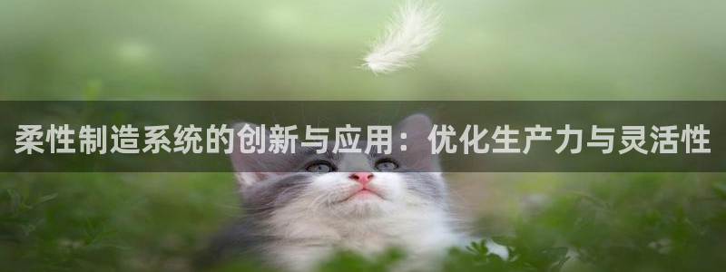 彩神vi争霸官网：柔性制造系统的创新与应用：优化生产力与灵活