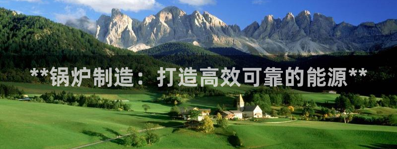 大发彩神最高邀请码：**锅炉制造：打造高效可靠的能源**