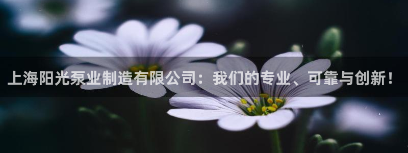 大发彩神官网下载：上海阳光泵业制造有限公司：我们的专业、可靠与创新！