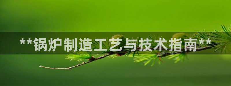彩神邀请码:00-00-3267：**锅炉制造工艺与技术指南**