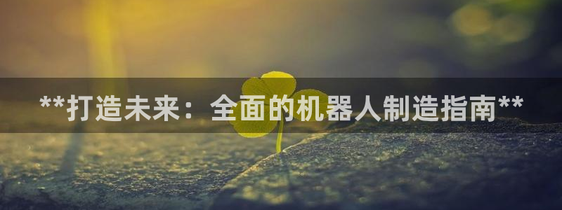 新版彩神v8登录不了：**打造未来：全面的机器人制造指南**