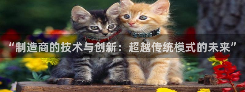 彩神ios下载：“制造商的技术与创新：超越传统模式的未来”