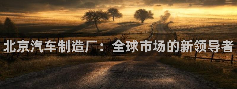 彩神网官网登录：北京汽车制造厂：全球市场的新领导者