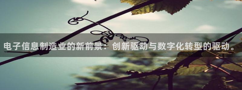 彩神天下专家专栏：电子信息制造业的新前景：创新驱动与数字化转型的驱动。