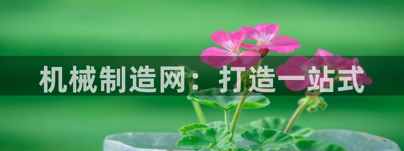彩神赢钱了吗是真的吗：机械制造网：打造一站式