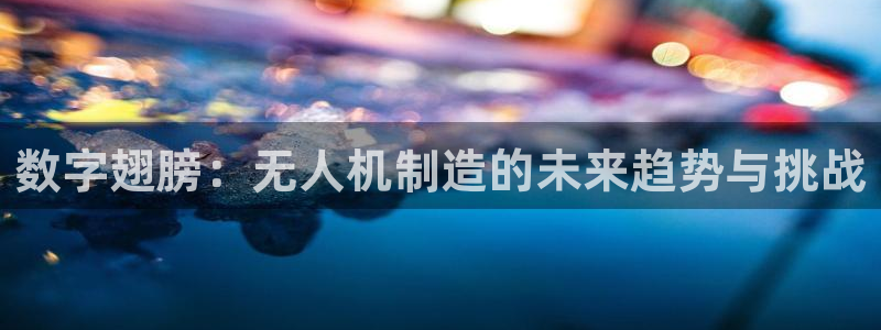 彩神网可以赚钱是真的吗：数字翅膀：无人机制造的未来趋势与挑战