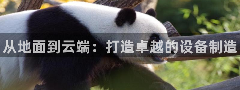 在彩神网输了六万多怎么拿回来：从地面到云端：打造卓越的设备制造