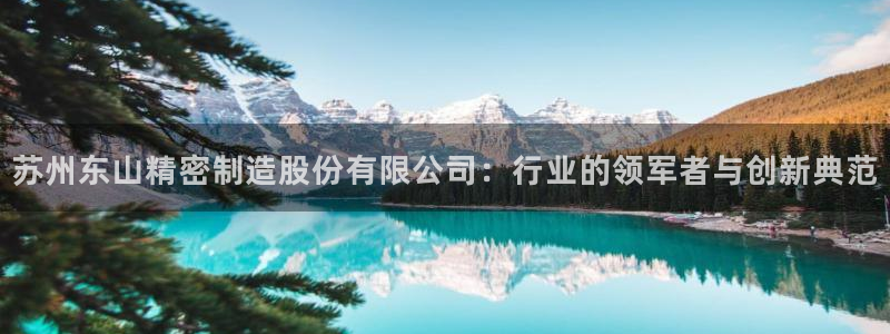 新版彩神v8登录不上去：苏州东山精密制造股份有限公司：行业的领军者与创新典范