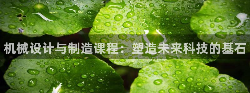 彩神怎么样可以提现：机械设计与制造课程：塑造未来科技的基石
