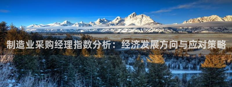 彩神V购彩大厅：制造业采购经理指数分析：经济发展方向与应对策略