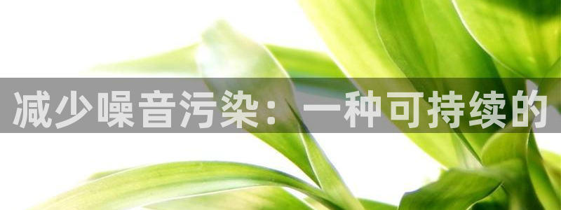 彩神合法吗.是国家认可的吗：减少噪音污染：一种可持续的