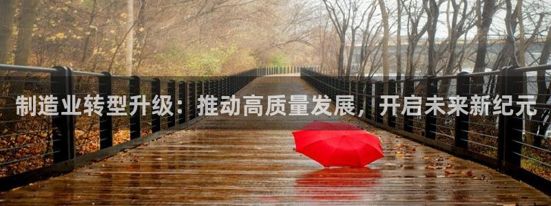 彩神可以提现吗：制造业转型升级：推动高质量发展，开启未来新纪元