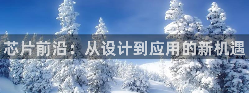 彩神vll购彩大厅：芯片前沿：从设计到应用的新机遇