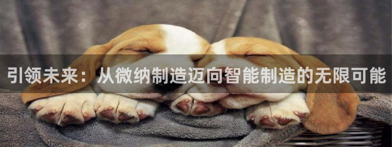 彩神平台可以破解吗：引领未来：从微纳制造迈向智能制造的无限可能