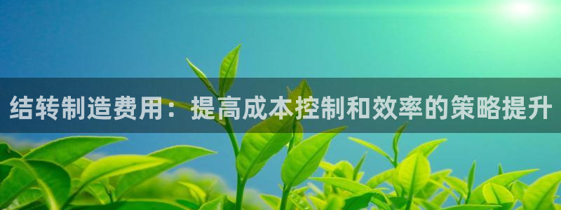 彩神购彩-购彩大厅入口计划群：结转制造费用：提高成本控制和效率的策略提升