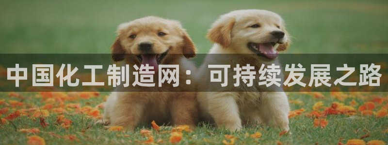彩神8是正规平台吗知乎：中国化工制造网：可持续发展之路