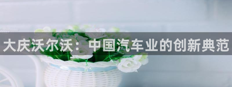 彩神v破解版：大庆沃尔沃：中国汽车业的创新典范