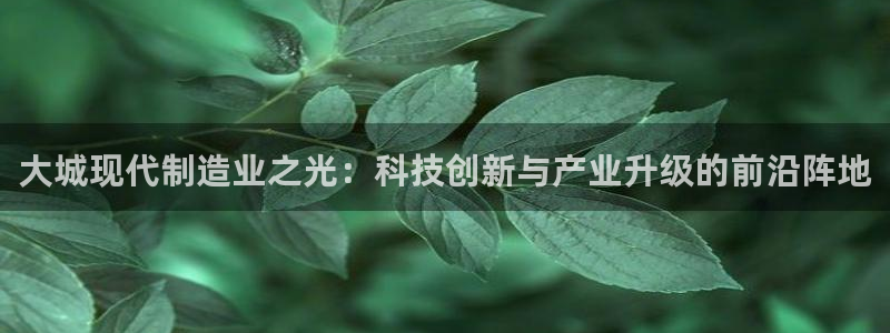 彩神vlll游戏特色：大城现代制造业之光：科技创新与产业升级
