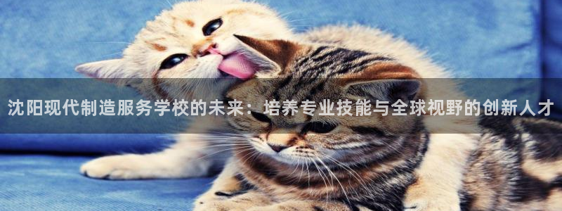 彩神V8有限公司