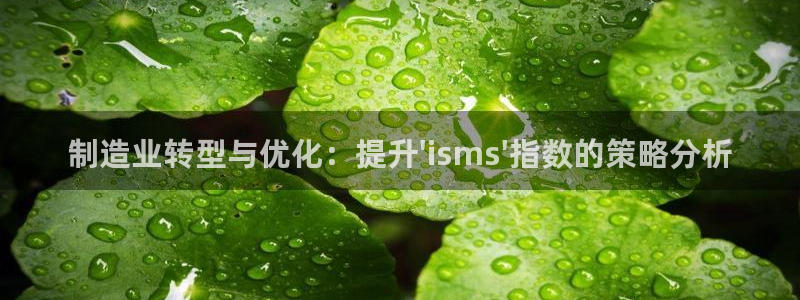 新版彩神v8登录：制造业转型与优化：提升\'isms\'指数