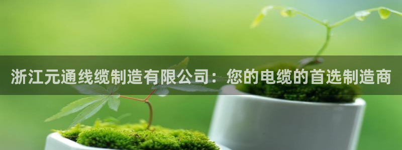 彩神邀请码:00-00-3267：浙江元通线缆制造有限公司：您的电缆的首选制造商