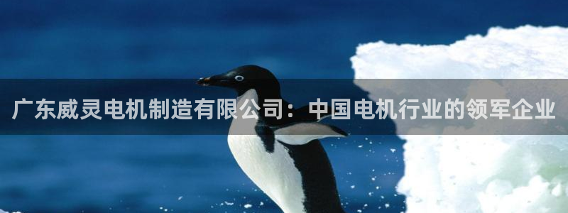 彩神v8平台正规吗可靠吗：广东威灵电机制造有限公司：中国电机行业的领军企业
