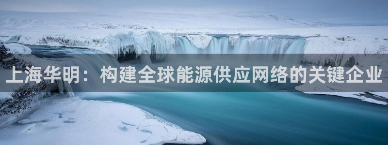 彩神vip购彩：上海华明：构建全球能源供应网络的关键企业