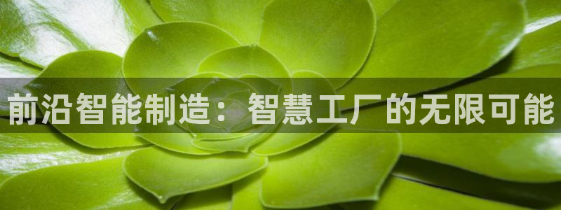 彩神 好 平台：前沿智能制造：智慧工厂的无限可能