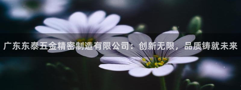 彩神vll购彩大厅：广东东泰五金精密制造有限公司：创新无限，品质铸就未来