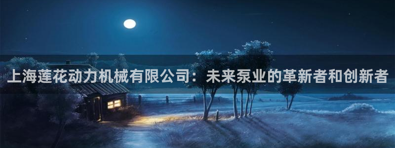 彩神8是正规平台吗是正品吗：上海莲花动力机械有限公司：未来泵业的革新者和创新者