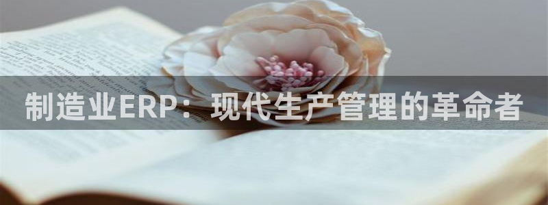 彩神app赚钱是真是假：制造业ERP：现代生产管理的革命者