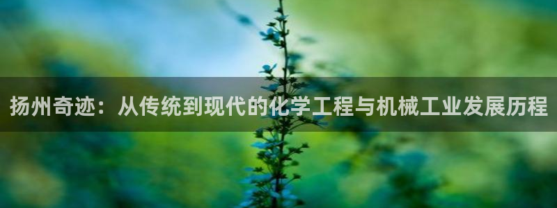 彩神是什么平台：扬州奇迹：从传统到现代的化学工程与机械工业发展历程