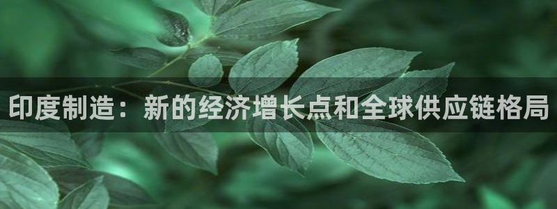 彩神v8下载app：印度制造：新的经济增长点和全球供应链格局